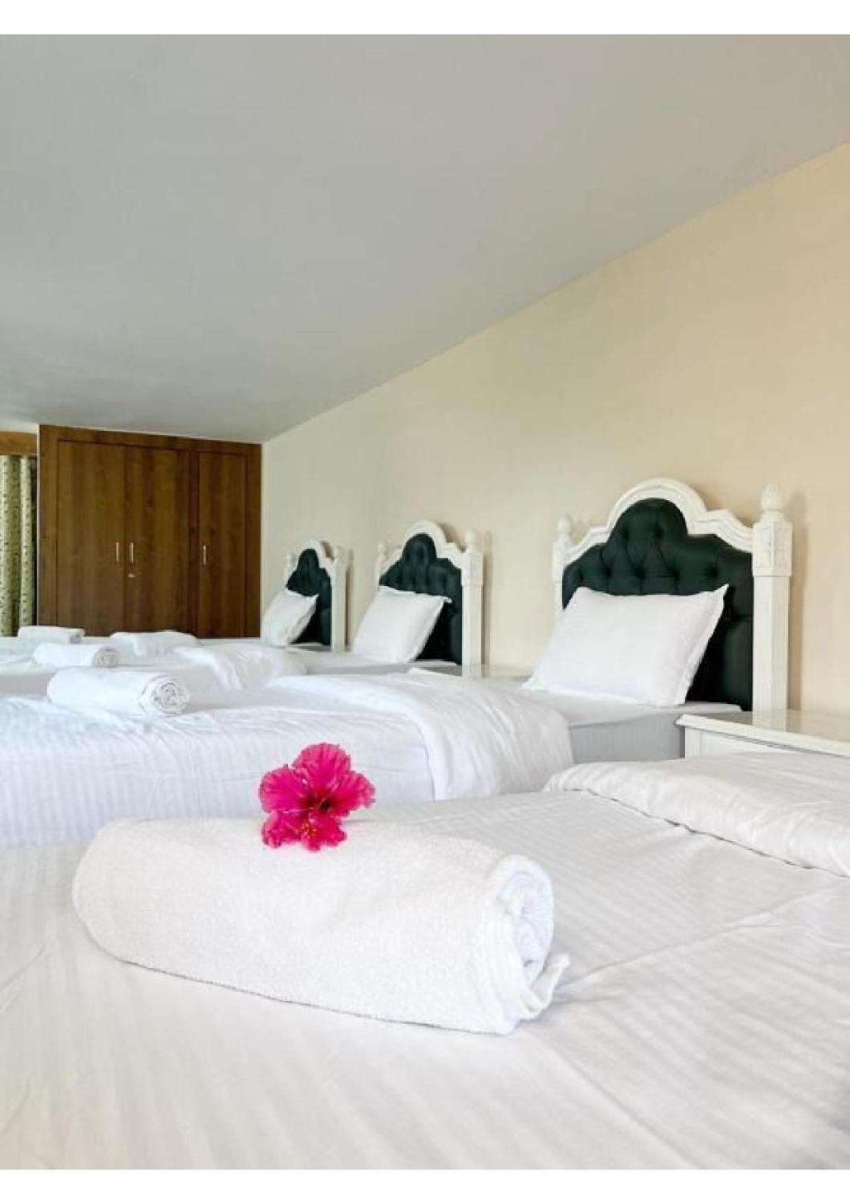 Lake City Villa Udaipur Eksteriør billede